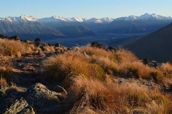 Ruataniwha Conservation Park